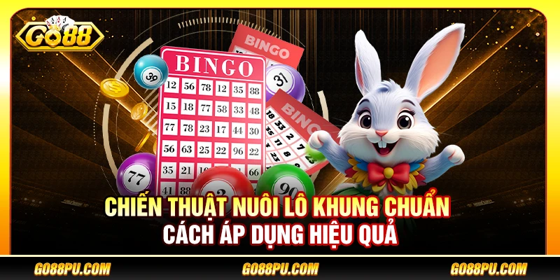 Chiến Thuật Nuôi Lô Khung Chuẩn – Cách Áp Dụng Hiệu Quả