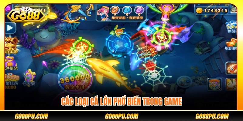 Những loại cá lớn thường gặp trong game bắn cá