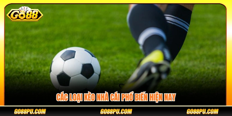 Các loại tỷ lệ cược phổ biến trên thị trường