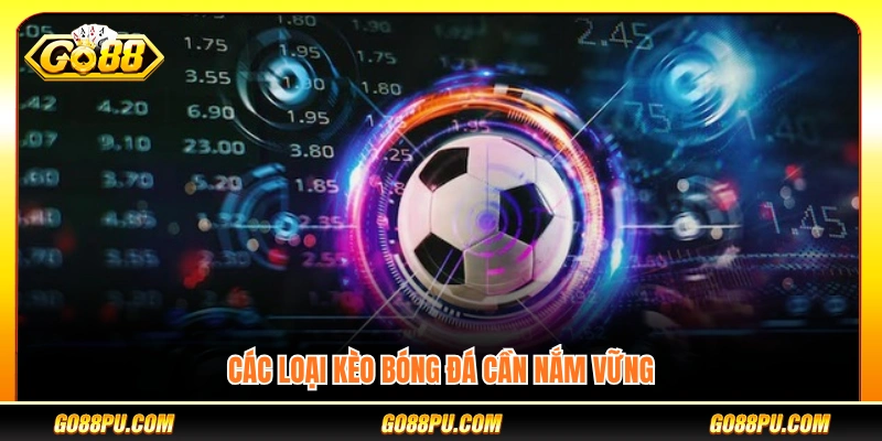 Những dạng kèo bóng đá quan trọng cần biết