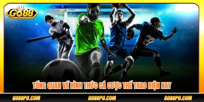 Tổng thể các loại hình cá cược thể thao phổ biến