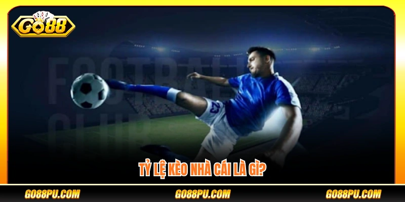 Tổng quan về tỷ lệ kèo do nhà cái đưa ra