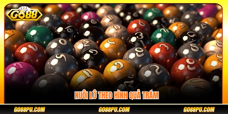 Áp dụng chiến thuật nuôi lô dạng quả trám