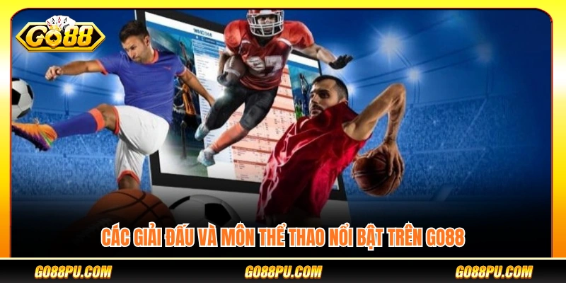 Những giải đấu và bộ môn thể thao hấp dẫn 